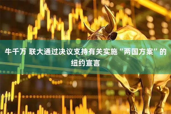 牛千万 联大通过决议支持有关实施“两国方案”的纽约宣言