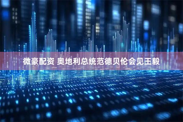 微豪配资 奥地利总统范德贝伦会见王毅