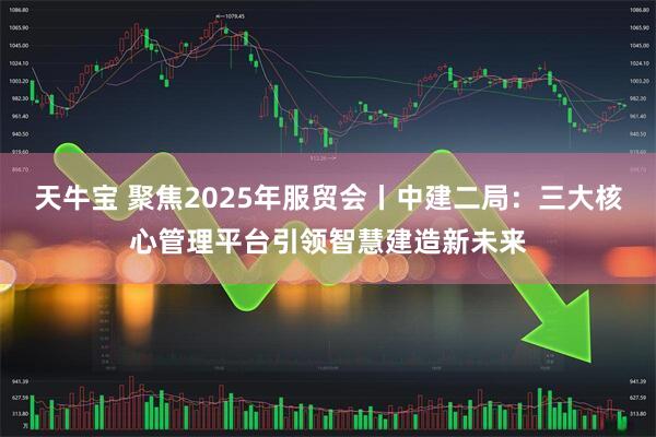 天牛宝 聚焦2025年服贸会丨中建二局：三大核心管理平台引领智慧建造新未来