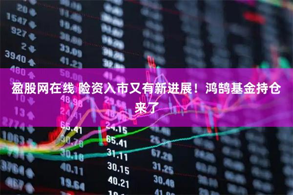 盈股网在线 险资入市又有新进展！鸿鹄基金持仓来了