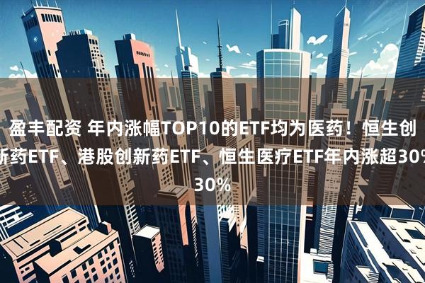 盈丰配资 年内涨幅TOP10的ETF均为医药！恒生创新药ETF、港股创新药ETF、恒生医疗ETF年内涨超30%