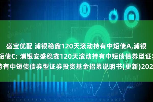 盛宝优配 浦银稳鑫120天滚动持有中短债A,浦银稳鑫120天滚动持有中短债C: 浦银安盛稳鑫120天滚动持有中短债债券型证券投资基金招募说明书(更新)2025年第1号