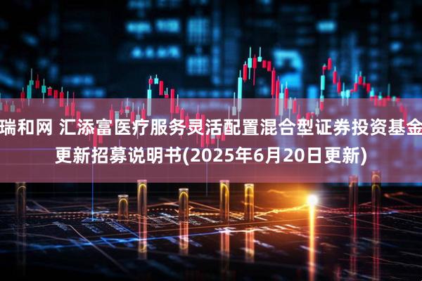 瑞和网 汇添富医疗服务灵活配置混合型证券投资基金更新招募说明书(2025年6月20日更新)