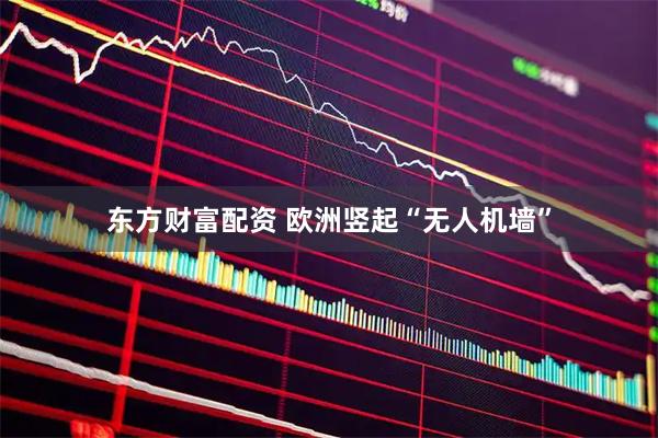 东方财富配资 欧洲竖起“无人机墙”