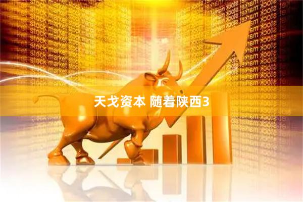 天戈资本 随着陕西3