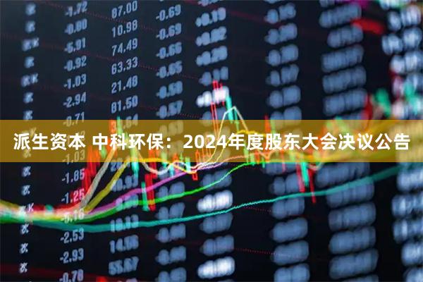 派生资本 中科环保：2024年度股东大会决议公告