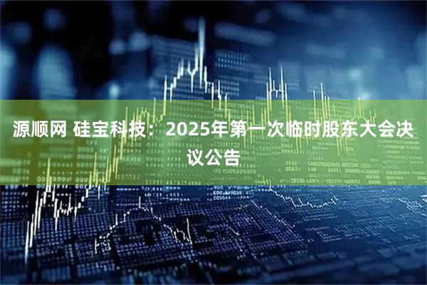源顺网 硅宝科技：2025年第一次临时股东大会决议公告