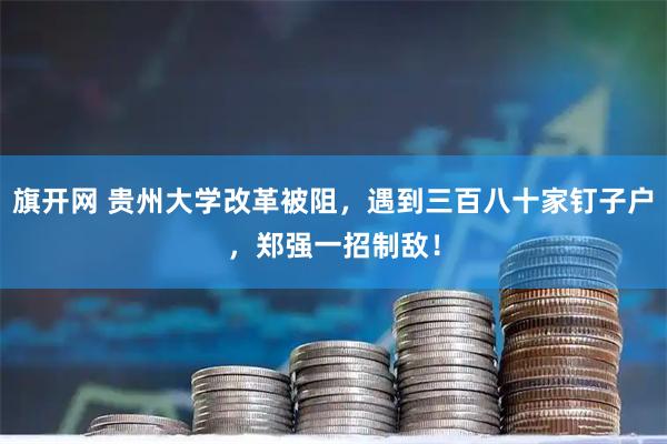 旗开网 贵州大学改革被阻，遇到三百八十家钉子户，郑强一招制敌！