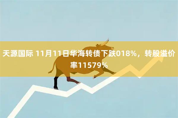 天源国际 11月11日华海转债下跌018%,转股溢价率11579%